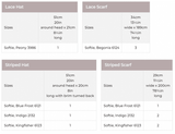 Stylecraft Softie Chunky Accessories Pattern 10110