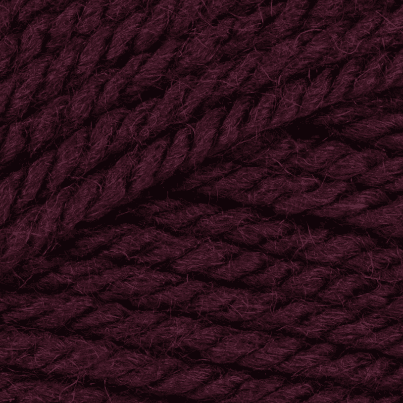 Stylecraft Special Aran 100g