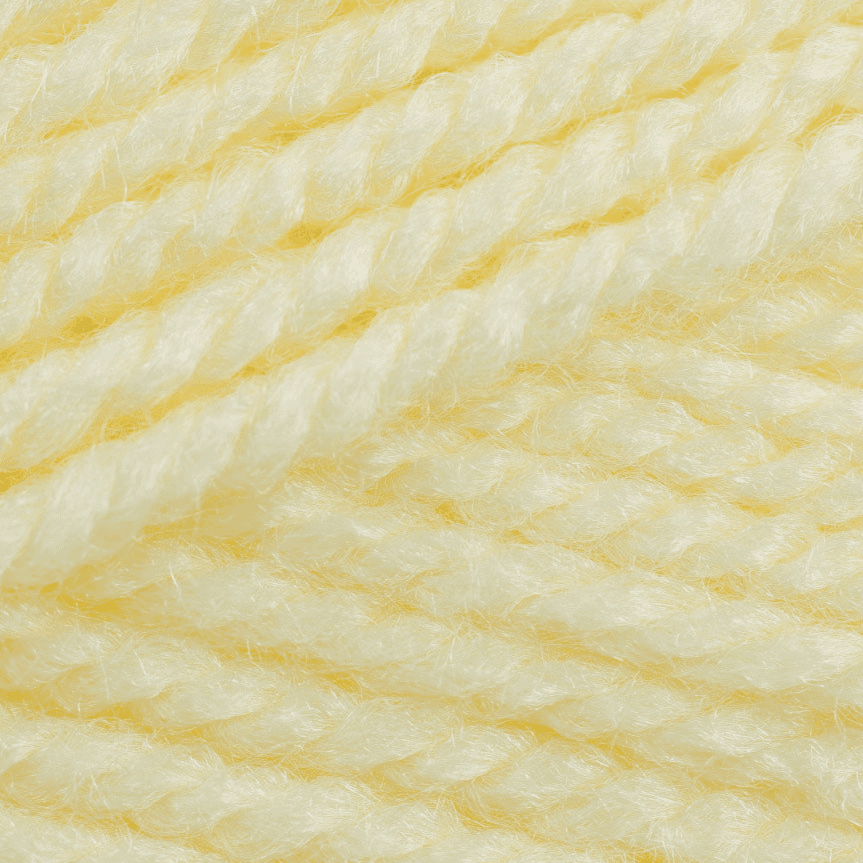 Stylecraft Special Aran 100g