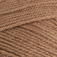 Stylecraft Special Aran 100g