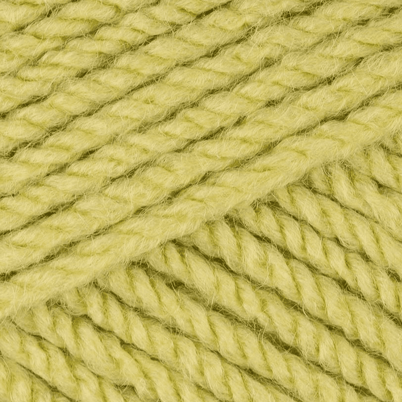 Stylecraft Special Aran 100g