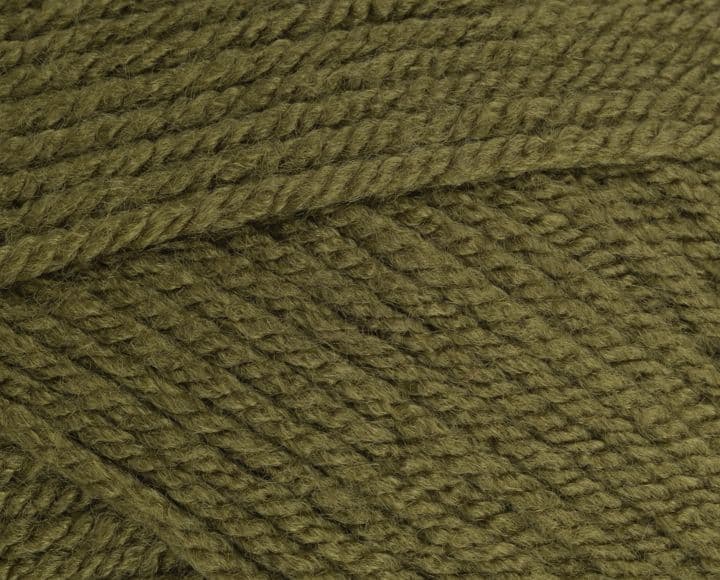 Stylecraft Special Chunky 100g