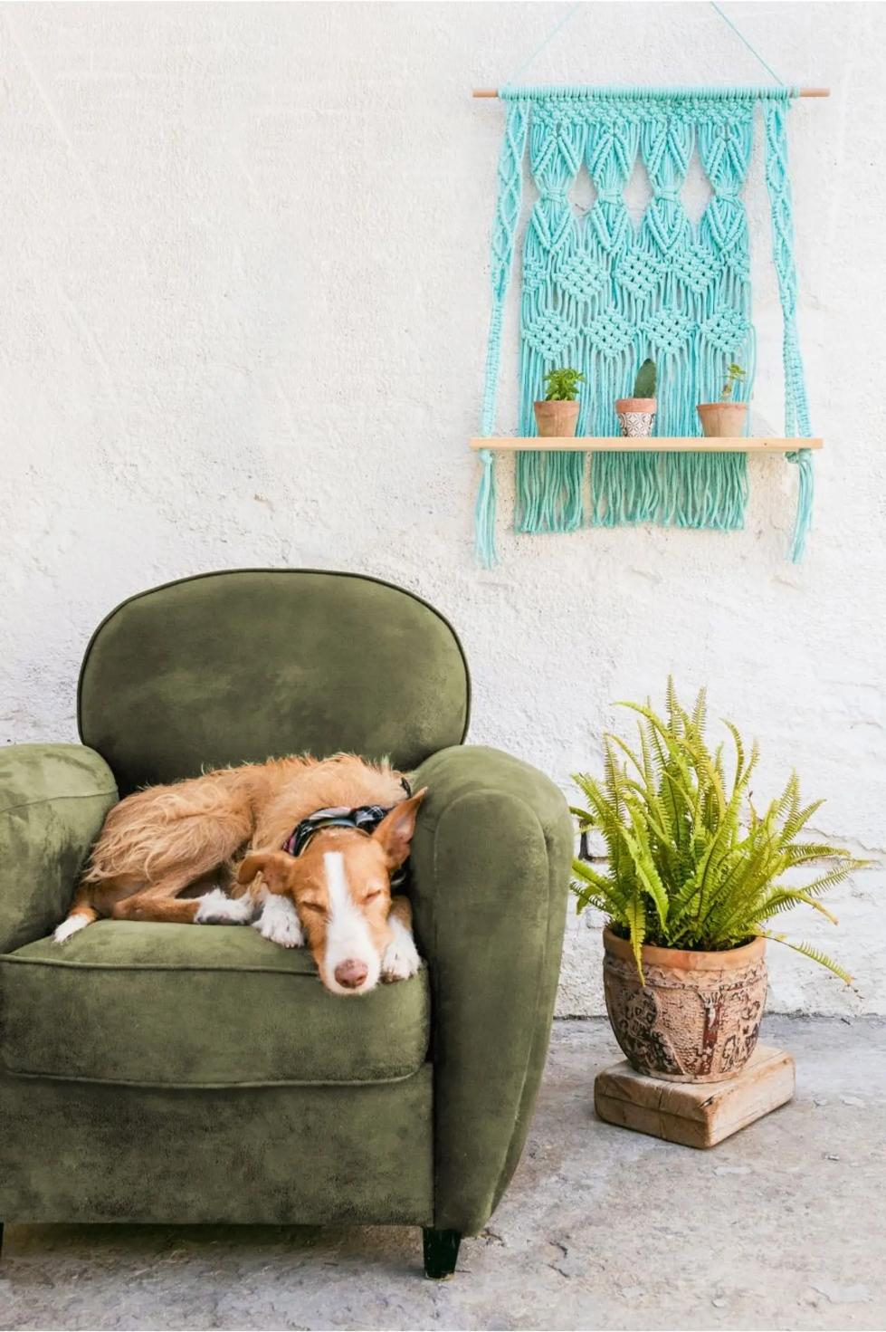 DMC Nova/Eco Vita Recycled Cotton Pattern Book N°3