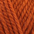 Wendy Pure Wool Aran 200g