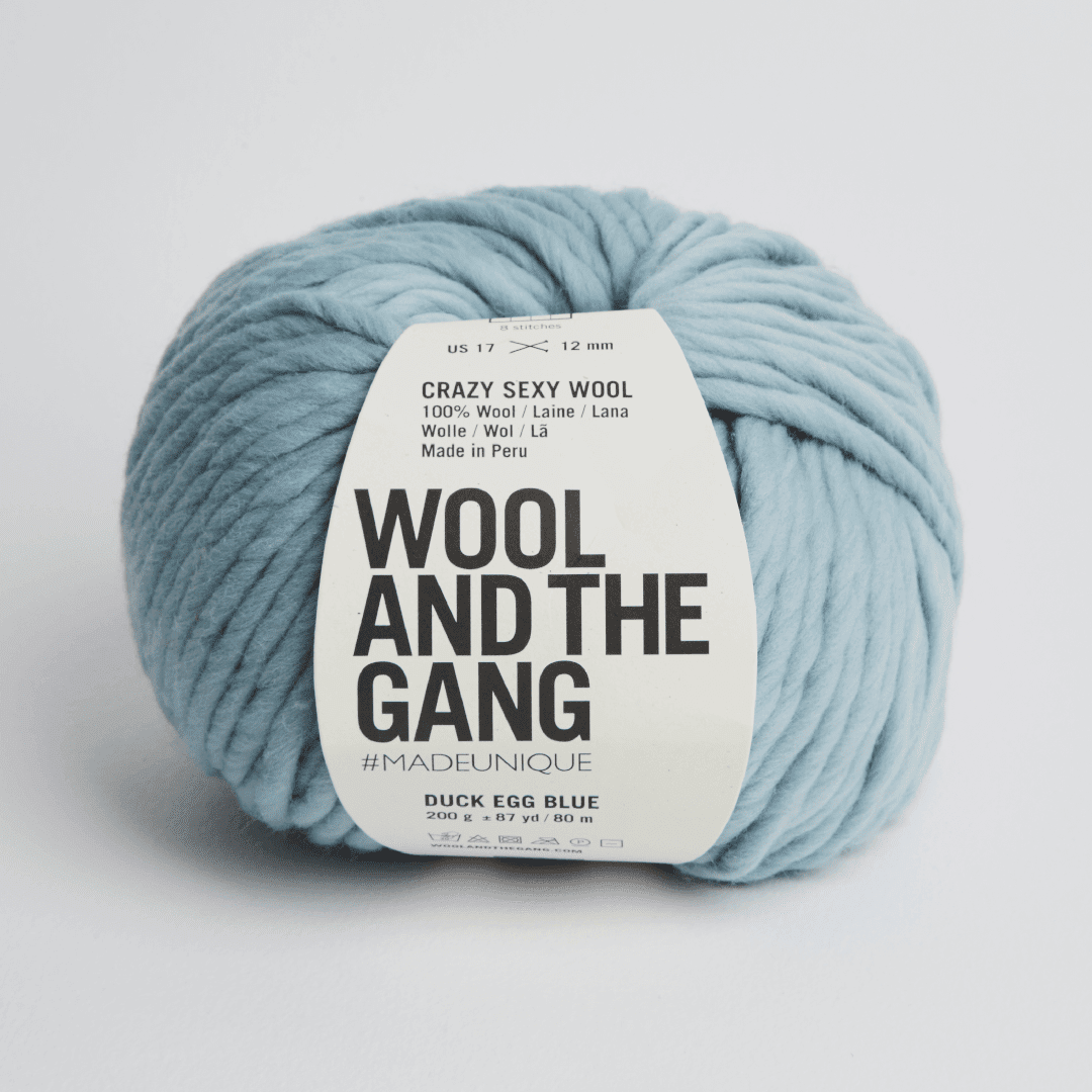 Wool and the Gang Crazy Sexy Wool Super Chunky 200g